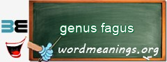 WordMeaning blackboard for genus fagus